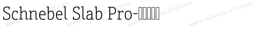 Schnebel Slab Pro字体转换